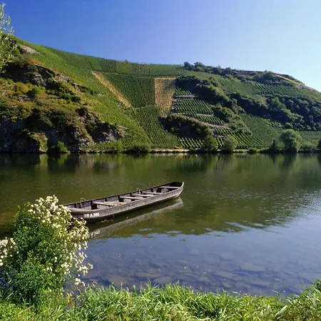 Gaestehaus Weingut Mathy-schanz Apartamento *