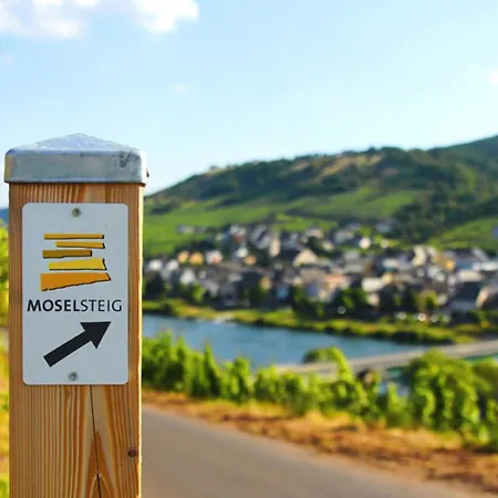 Gaestehaus Weingut Mathy-schanz