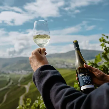 Apartamento Gaestehaus Weingut Mathy-schanz