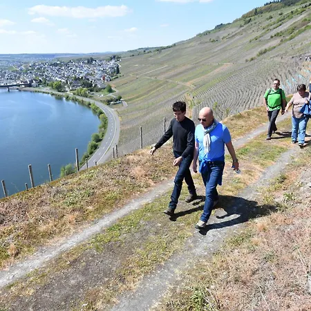 Apartamento Gaestehaus Weingut Mathy-schanz Osann-Monzel