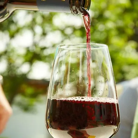 Apartmán Gaestehaus Weingut Mathy-schanz