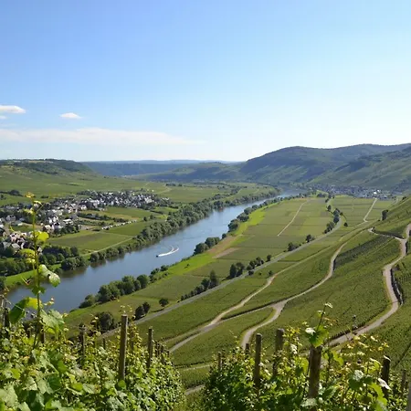 Apartment Gaestehaus Weingut Mathy-schanz *
