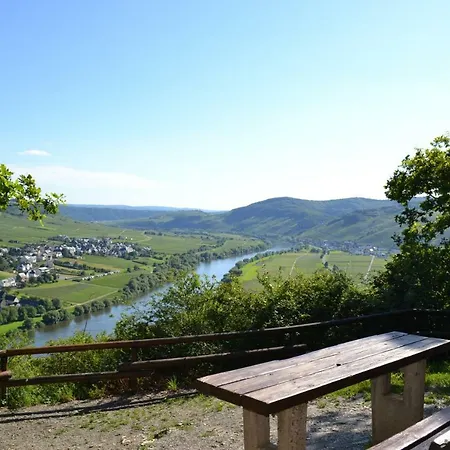 Gaestehaus Weingut Mathy-schanz Apartamento *