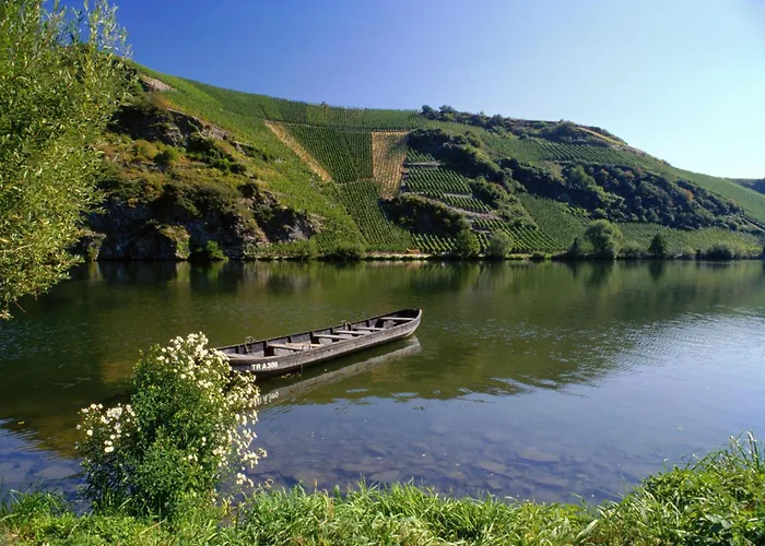 Gaestehaus Weingut Mathy-schanz דירה *