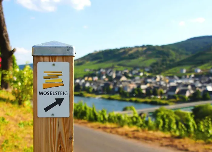 Gaestehaus Weingut Mathy-schanz