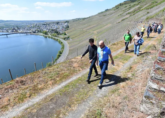 דירה Gaestehaus Weingut Mathy-schanz Osann-Monzel
