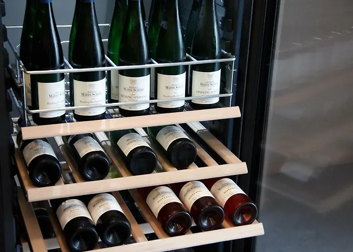 Gaestehaus Weingut Mathy-schanz *