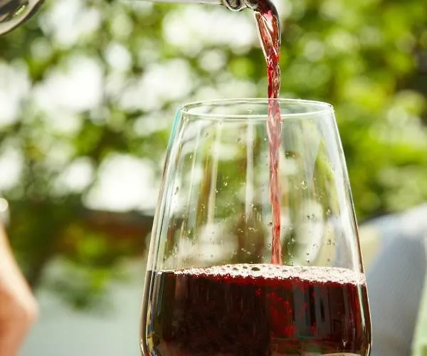 דירה Gaestehaus Weingut Mathy-schanz