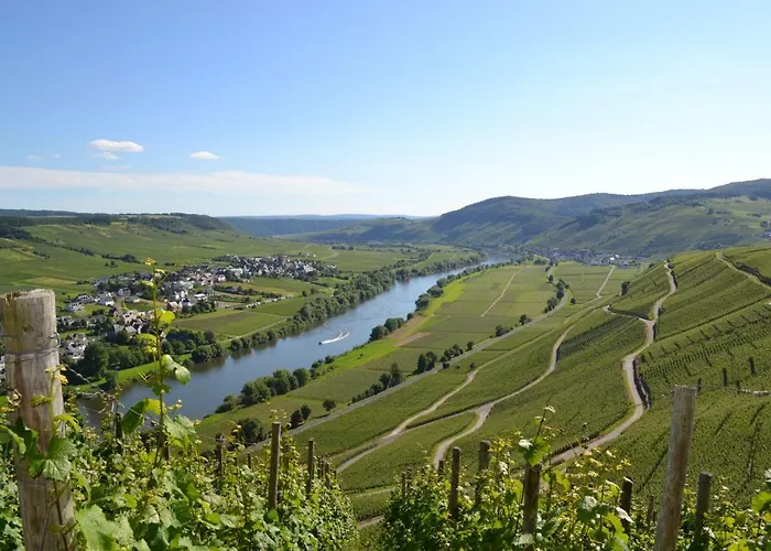 דירה Gaestehaus Weingut Mathy-schanz *