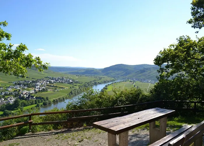 Gaestehaus Weingut Mathy-schanz Lägenhet *
